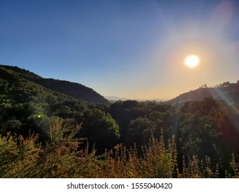 A Collection From The Placerita Canyon In Santa Clarita California. A Hiking Trail With Beautiful Scenery Of Overgrown Brush And Rolling Hills.