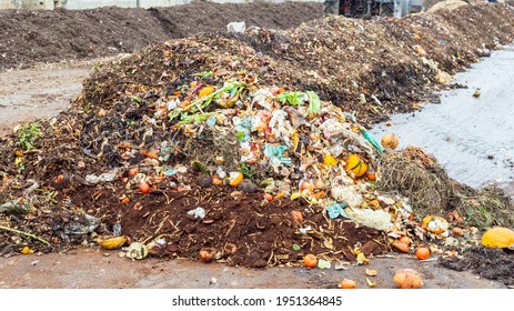 Collection Point For Organic Waste At Industrial Compost Plant