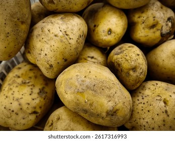 collection of potatoes in a basket at the market