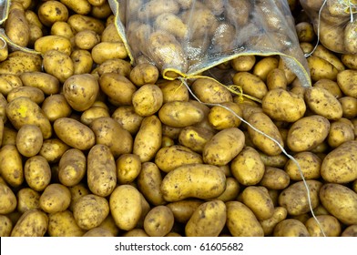 collection-potatoes-sold-large-market-260nw-61605682.jpg