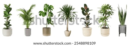 Similar – Image, Stock Photo Potted plants at the Kulturforum Berlin