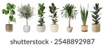 Collection of potted plants. Various potted plants in different pots. Indoor plants with diverse leaves. Potted plants for home decor. Greenery in pots. Potted plant elements isolated on white.