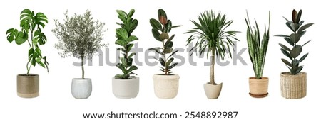 Similar – Image, Stock Photo Potted plants at the Kulturforum Berlin