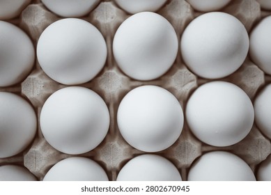 A collection of pristine white eggs sits in a carton, perfectly aligned and ready for cooking, evoking thoughts of a wholesome breakfast.