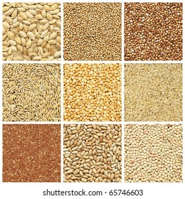 Collection products, wheat, barley, millet, oat, pea, peanuts, pumpkin seed