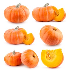 Collection Of Pumpkin Images
