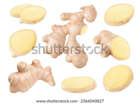 Collection of raw ginger root pieces isolated on white background