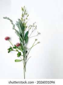 A collection of red clover, daisy fleabane, prairie sage wort, white sagebrush, English ryegrass, and meadow chickweed. 