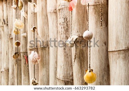 Collection of sea shells on bamboo wall in vintage