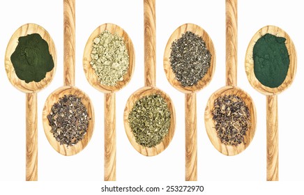 a collection of seaweed and algae dietary supplements on wooden spoons - chlorella, bladderwrack, kelp, sea lettuce, walame, Irish moss,  spirulina, (from left to right)