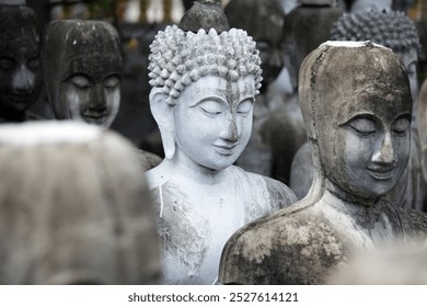 A collection of serene Buddha statues captured in a monochrome scene, showcasing intricate artistry and spiritual tranquility in a peaceful outdoor setting. - Powered by Shutterstock