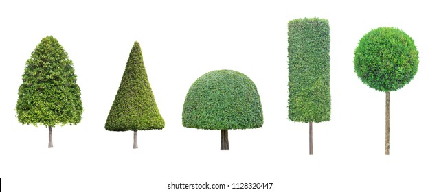 collection set of different shape of topiary tree isolated on white background for formal Japanese and English style artistic design garden - Shutterstock ID 1128320447