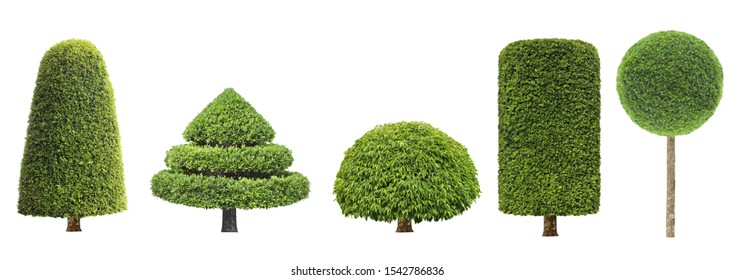 collection set of different shape of topiary tree isolated on white background for formal Japanese and English style artistic design garden - Shutterstock ID 1542786836