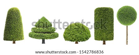 collection set of different shape of topiary tree isolated on white background for formal Japanese and English style artistic design garden