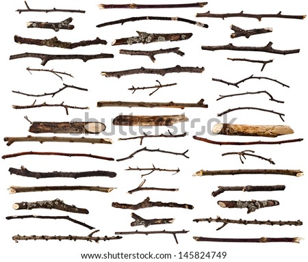 Collection set of dry wood branches isolated on a white background 