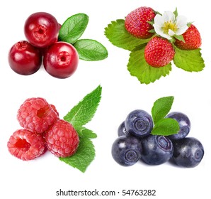 collection set of forest whole berries closeup macro isolated on a white background