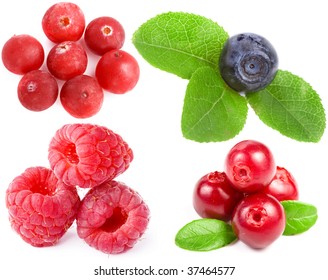 Collection set of fresh forest berries isolated on white background