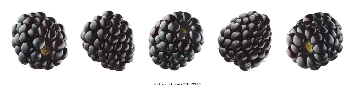 Collection or set of various fresh ripe blackberries isolated on white background, falling berries, different angle - Powered by Shutterstock