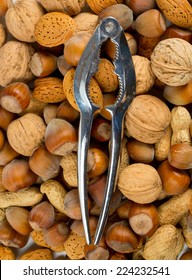 collection of shelled nuts and nutcracker