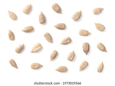 Collection Of Single Sunflower Seed Isolated On White Background, Top View