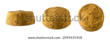 collection of skull caps, decorative islamic headdress worn by muslim men, isolated in white background indifferent angles