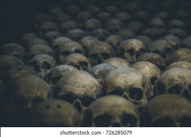 Collection of skulls covered with spider web and dust in the catacombs. Rows of creepy skulls in the dark. Abstract concept symbolizing death, terror, and evil.