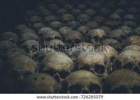Collection of skulls covered with spider web and dust in the catacombs. Rows of creepy skulls in the dark. Abstract concept symbolizing death, terror, and evil.