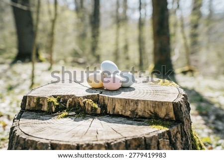 A collection of soft-hued Easter eggs rests on a weathered tree stump, surrounded by the dappled sunlight of a spring forest