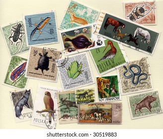 Collection of stamps with different animals