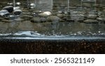 A collection of stones on a manmade structure filled with water. 