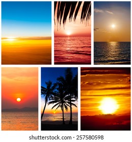 Collection of sunset  backgrounds