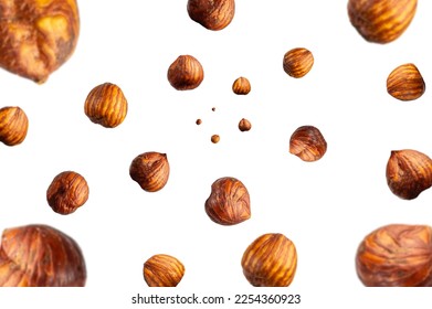 Collection of tasty crispy Hazelnut falling isolated on white background. Selective focus Arkivfotografi