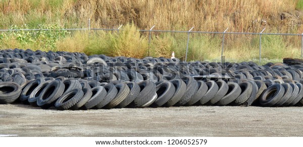 Collection of tires in a\
dump