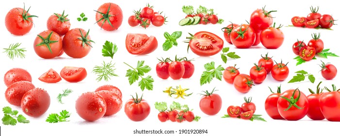 Collection of tomatoes isolated on white background - Shutterstock ID 1901920894