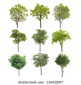 20,486 Big Plant Shadow Images, Stock Photos & Vectors | Shutterstock