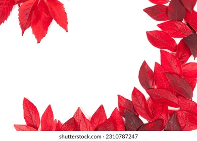 collection of tree leaves isolated on white background - Shutterstock ID 2310787247