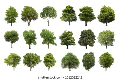 91,889 Tree cutout Images, Stock Photos & Vectors | Shutterstock