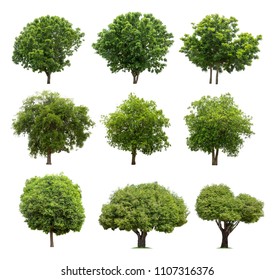 Collection Trees Round Shape Isolated On Stock Photo 1107316376 ...