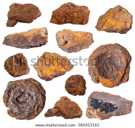 collection of various brown limonite (bog iron ore) mineral stones isolated on white background