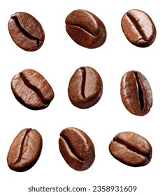 collection of various coffee bean on white background
