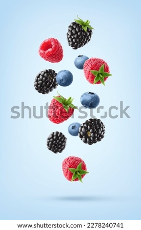 Collection of various falling fresh ripe wild berries on light blue background. Raspberry, blackberry and blueberry.