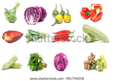 Collection of Vegetable isolate on white