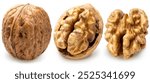 Collection of Walnuts isolated on white background, Walnuts kernels on White Background With clipping path.