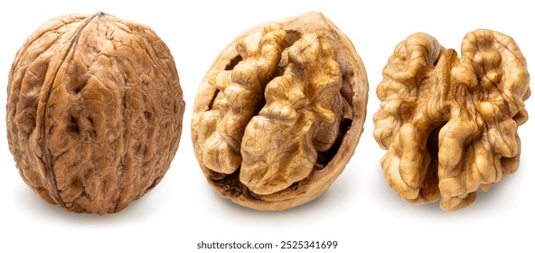 Collection of Walnuts isolated on white background, Walnuts kernels on White Background With clipping path.