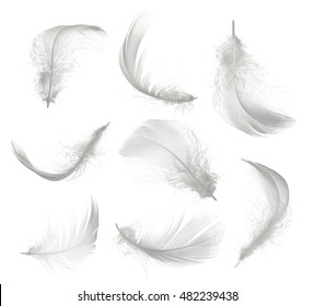 Collection of white feather isolated on white background