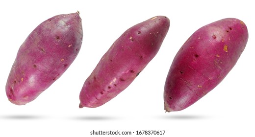 Collection Whole Sweet Potato Or Yellow Japanese Sweet Potato And Raw Yam Isolated On White Background. Selective Focus And Purple Color Tone