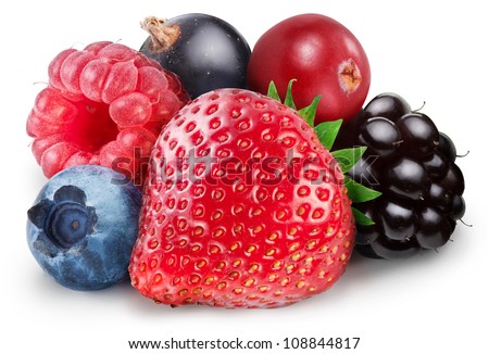 Collection of wild berries isolated on a white background. File contains clipping path.