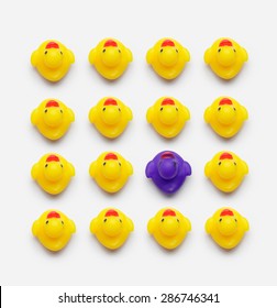 Collection Of Yellow Rubber Ducks And One Dark Duck Well Organize Over White Background, Above View