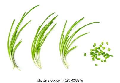 Collection of young green onion isolated on white background. Set of multiple images. Part of series