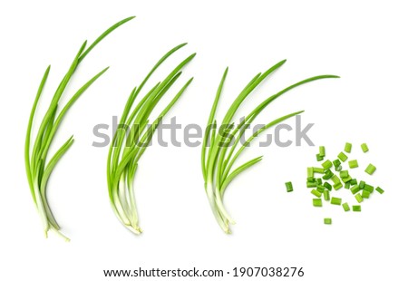 Collection of young green onion isolated on white background. Set of multiple images. Part of series